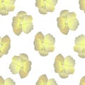 Seamless wild floral pattern with nasturtium. Yellow hibiscus flowers on white background. Botanical Motifs scattered random. Royalty Free Stock Photo